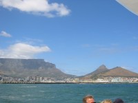 IMG_0870.jpg