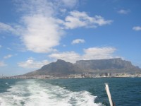 IMG_0873.jpg