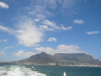 IMG_0877.jpg