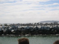 IMG_0878.jpg