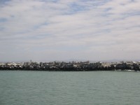 IMG_0879.jpg