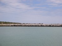 IMG_0880.jpg
