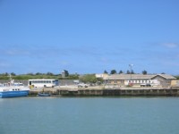 IMG_0881.jpg
