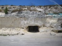 IMG_0883.jpg