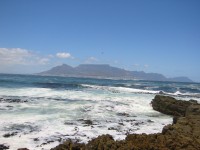 IMG_0894.jpg