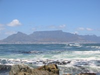 IMG_0896.jpg