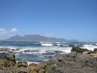 IMG_0898.jpg