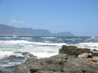 IMG_0899.jpg