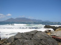IMG_0900.jpg