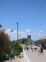 IMG_0904.jpg