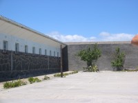 IMG_0909.jpg