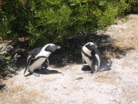 IMG_0927.jpg