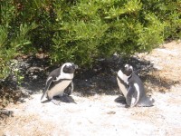 IMG_0928.jpg