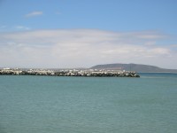 IMG_0929.jpg