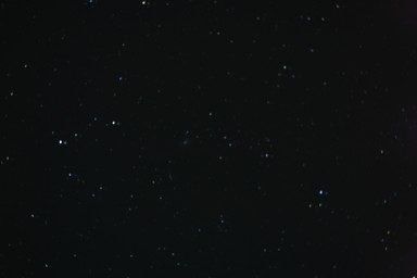 IMG_3308.jpg