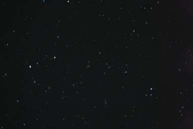 IMG_3309.jpg