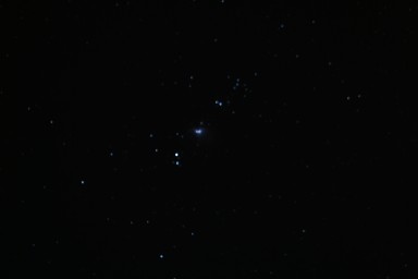 IMG_3310.jpg