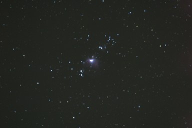 IMG_3313.jpg