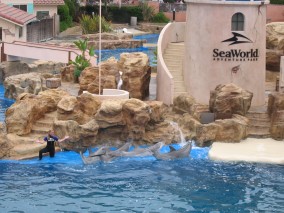 IMG_1204.jpg