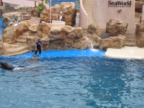 IMG_1206.jpg