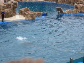 IMG_1211.jpg