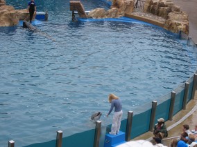 IMG_1214.jpg