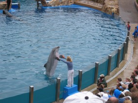 IMG_1215.jpg