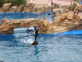 IMG_1216.jpg