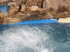 IMG_1220.jpg