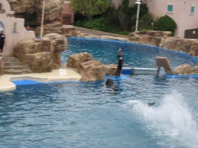 IMG_1221.jpg