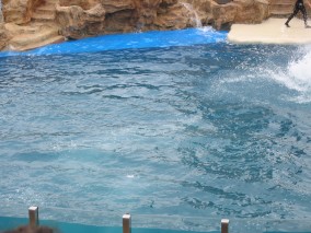 IMG_1222.jpg