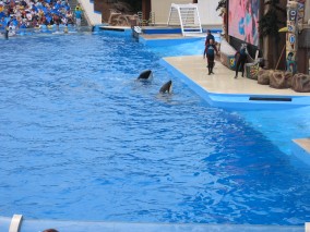 IMG_1225.jpg