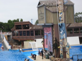 IMG_1231.jpg