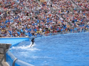 IMG_1233.jpg