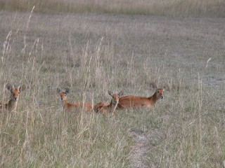 DSCN0459.jpg
