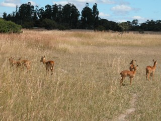 DSCN0463.jpg