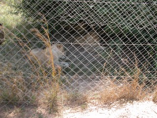 DSCN0485.jpg