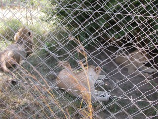DSCN0486.jpg