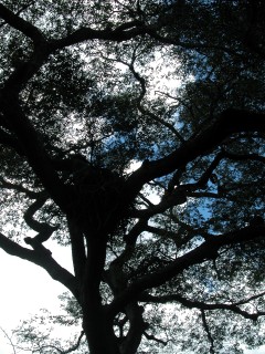 DSCN0488.jpg