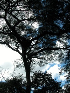 DSCN0489.jpg