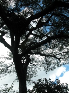 DSCN0490.jpg