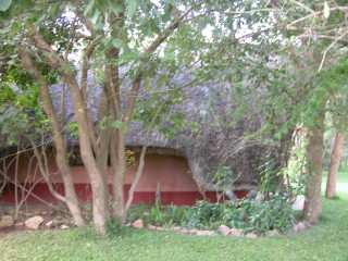 DSCN0491.jpg