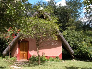 DSCN0493.jpg