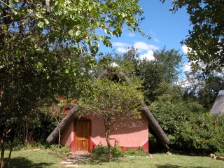 DSCN0494.jpg