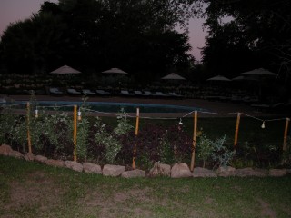DSCN0499.jpg