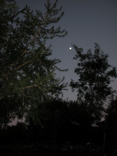 DSCN0501.jpg