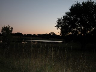 DSCN0503.jpg
