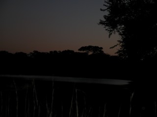 DSCN0504.jpg