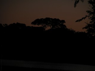 DSCN0505.jpg