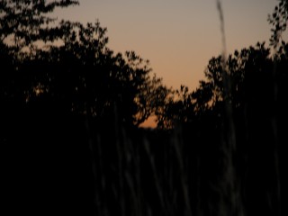 DSCN0506.jpg